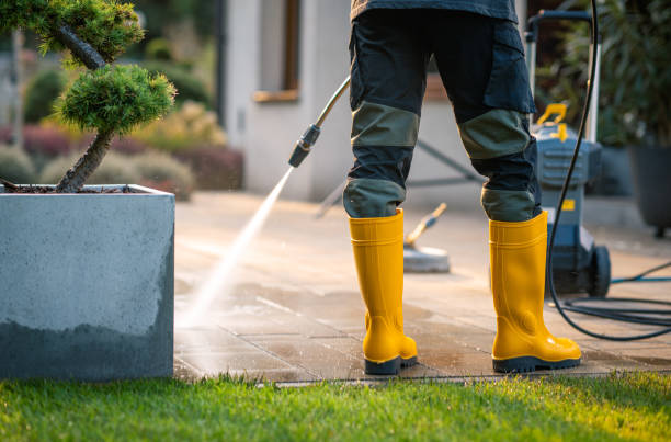 Local Pressure Washing Services in Crownsville, MD